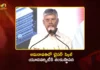 అమరావతిలో బైసర్ స్కిల్ యూనివర్సిటీకి శంకుస్థాపన చేసిన సీఎం చంద్రబాబు CM Chandrababu Lays Foundation Stone For BISER Skill University in Nidamarru, Amaravati