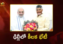CM Chandrababu Meets Union Home Minister Amit Shah in Delhi Regarding Several State Issues