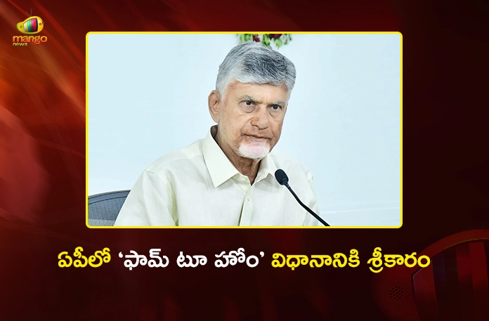 CM Chandrababu New Agriculture Strategy, Farm To Home Delivery For Veggies and Fruits CM Chandrababu New Agriculture Strategy, Farm To Home Delivery For Veggies and Fruits