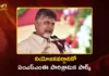 నియోజకవర్గానికో ఏంఎస్ఎంఈ పారిశ్రామిక పార్క్ ఏర్పాటు చేస్తాం – సీఎం చంద్రబాబు CM Chandrababu Plans MSME Industrial Park in Every Constituency AP Wide