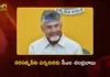 నరసన్నపేటకు సీఎం చంద్రబాబు.. ‘స్వర్ణాంధ్ర – స్వచ్ఛాంధ్ర’కు ముమ్మర ఏర్పాట్లు CM Chandrababu To Visit Narasannapeta For Swarnandhra Swachh Andhra Event on May 16