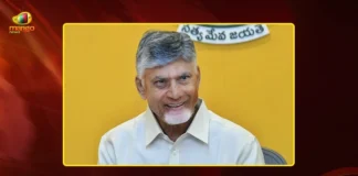 నరసన్నపేటకు సీఎం చంద్రబాబు.. ‘స్వర్ణాంధ్ర – స్వచ్ఛాంధ్ర’కు ముమ్మర ఏర్పాట్లు CM Chandrababu To Visit Narasannapeta For Swarnandhra Swachh Andhra Event on May 16
