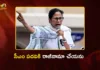 TMC Chief Mamata Banerjee Refuses To Step Down As CM After Election Loss