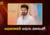 Tamil Nadu Assembly Election Results 2026 Vijay’s TVK Emerges as Single Largest Party With 108 Seats
