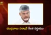 Tirumala Laddu Row AP Govt Forms High-Level Committee To Implement One-Man Commission Report