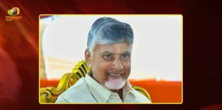 CM Chandrababu Approves Rs.1.50 Per Unit Power For Aqua Farmers Across AP