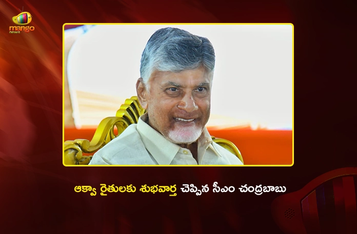 CM Chandrababu Approves Rs.1.50 Per Unit Power For Aqua Farmers Across AP CM Chandrababu Approves Rs.1.50 Per Unit Power For Aqua Farmers Across AP