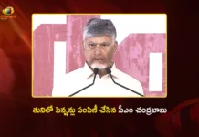 CM Chandrababu Distributes NTR Bharosa Pensions in Tuni, Kakinada District Today