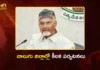 CM Chandrababu Schedules Four Districts During Five-Day Tour From July 1 To 5