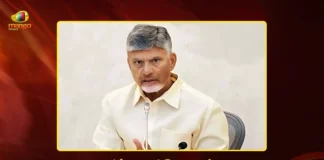 CM Chandrababu Unveils Swarna Andhra@2047 Vision Document at 11th NITI Aayog Meet