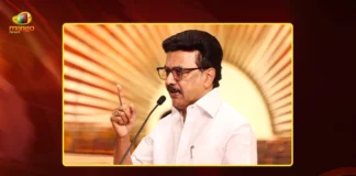 DMK Chief MK Stalin Says Vijay-Led TVK Govt Will Fall in 3 to 6 Months