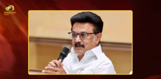 DMK Chief Stalin Predicts, Vijay's Government Could Collapse Within Three Months
