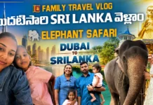 Elephant Safari in Sri Lanka by Midusha Vlogs