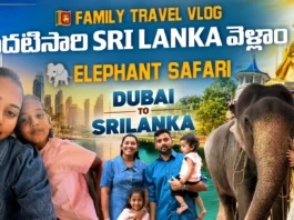 Elephant Safari in Sri Lanka by Midusha Vlogs