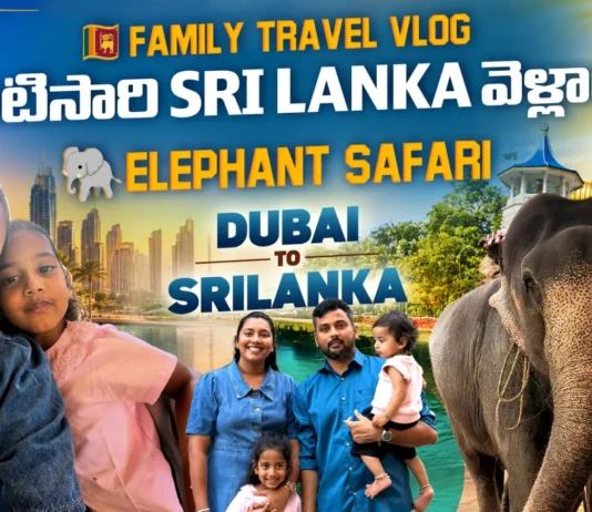 Elephant Safari in Sri Lanka by Midusha Vlogs