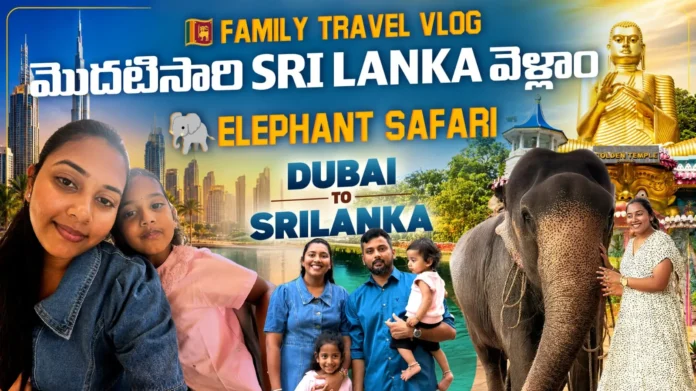Elephant Safari in Sri Lanka by Midusha Vlogs