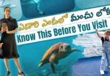 Exploring SeaWorld Abu Dhabi - Full Tour & Tips in Telugu by Vlogger Ambica