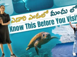 Exploring SeaWorld Abu Dhabi - Full Tour & Tips in Telugu by Vlogger Ambica