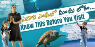 Exploring SeaWorld Abu Dhabi - Full Tour & Tips in Telugu by Vlogger Ambica