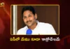 Former CM YS Jagan Targets Chandrababu Govt With Sharp Cockroach Remark