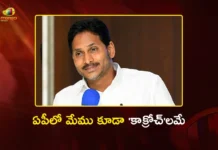 Former CM YS Jagan Targets Chandrababu Govt With Sharp Cockroach Remark