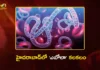 Hyderabad Three Suspected Ebola Patients Kept Under Strict Monitoring at Gandhi Hospital