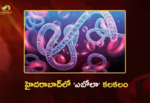 Hyderabad Three Suspected Ebola Patients Kept Under Strict Monitoring at Gandhi Hospital