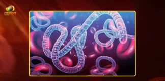 Hyderabad Three Suspected Ebola Patients Kept Under Strict Monitoring at Gandhi Hospital