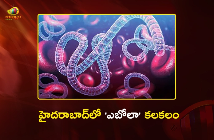 Hyderabad Three Suspected Ebola Patients Kept Under Strict Monitoring at Gandhi Hospital Hyderabad Three Suspected Ebola Patients Kept Under Strict Monitoring at Gandhi Hospital