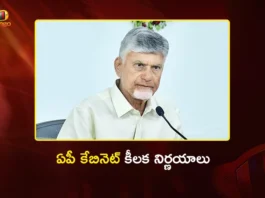 AP Cabinet Approves Rs.25,000 Annual Assistance For Handloom Workers Under Nethanna Bharosa