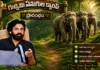 గుచ్చిమి ఏనుగుల శిబిరాన్ని ప్రారంభించిన ఉప ముఖ్యమంత్రి పవన్ కళ్యాణ్ AP Dy CM Pawan Kalyan Launches Gucchimi Kumki Elephant Camp in Parvathipuram Manyam