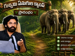 AP Dy CM Pawan Kalyan Launches Gucchimi Kumki Elephant Camp in Parvathipuram Manyam