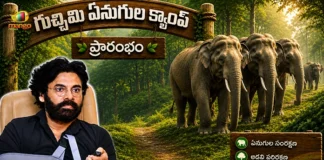 AP Dy CM Pawan Kalyan Launches Gucchimi Kumki Elephant Camp in Parvathipuram Manyam