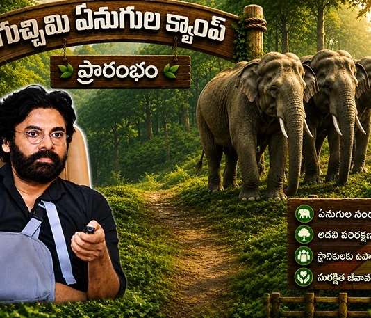 AP Dy CM Pawan Kalyan Launches Gucchimi Kumki Elephant Camp in Parvathipuram Manyam