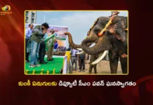 AP Dy CM Pawan Kalyan Welcomes Trained Kunki Elephants Jayanth and Abhimanyu at Mangalagiri