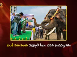 AP Dy CM Pawan Kalyan Welcomes Trained Kunki Elephants Jayanth and Abhimanyu at Mangalagiri