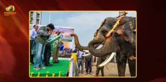 AP Dy CM Pawan Kalyan Welcomes Trained Kunki Elephants Jayanth and Abhimanyu at Mangalagiri