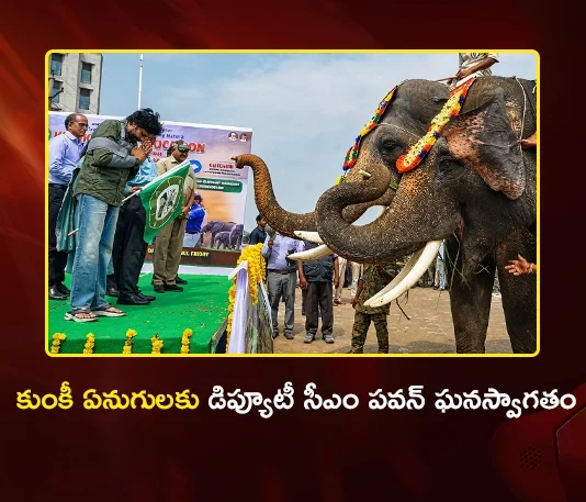AP Dy CM Pawan Kalyan Welcomes Trained Kunki Elephants Jayanth and Abhimanyu at Mangalagiri