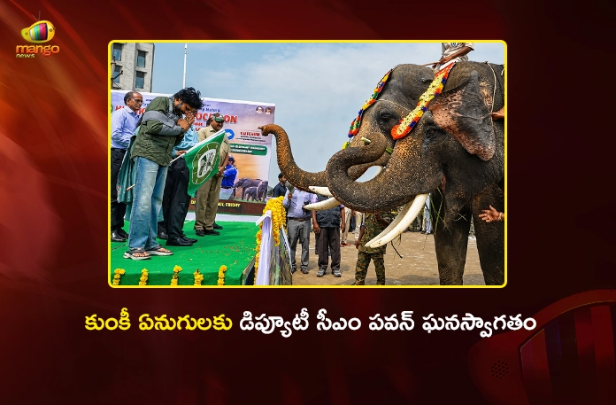 AP Dy CM Pawan Kalyan Welcomes Trained Kunki Elephants Jayanth and Abhimanyu at Mangalagiri AP Dy CM Pawan Kalyan Welcomes Trained Kunki Elephants Jayanth and Abhimanyu at Mangalagiri