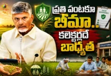 CM Chandrababu Directs Officials Crop Insurance For Every Cultivated Acre Amid El Niño Review