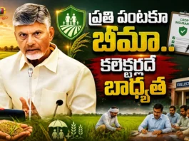 CM Chandrababu Directs Officials Crop Insurance For Every Cultivated Acre Amid El Niño Review