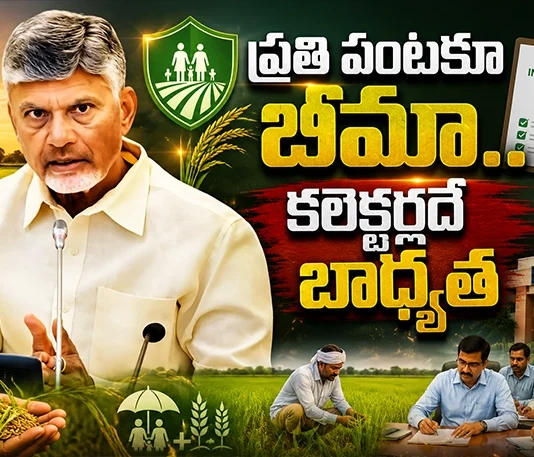 CM Chandrababu Directs Officials Crop Insurance For Every Cultivated Acre Amid El Niño Review
