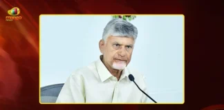 CM Chandrababu Directs Officials To Develop 51.88 Sq Km Vizag Bay City