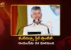 జమ్మలమడుగులో జేఎస్డబ్ల్యూ స్టీల్ ప్లాంట్ నిర్మాణ పనులు ప్రారంభించిన సీఎం చంద్రబాబు CM Chandrababu Launches Rs.16,350 Cr JSW Steel Plant Works at Jammalamadugu
