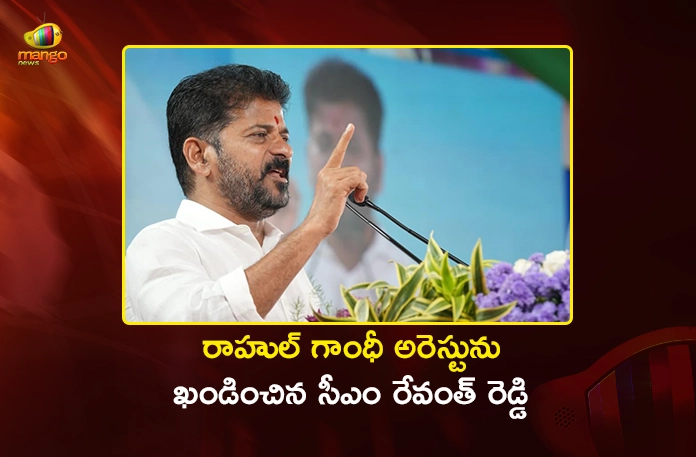 CM Revanth Reddy Demands Sacking of Union Minister Dharmendra Pradhan Over NEET Leak CM Revanth Reddy Demands Sacking of Union Minister Dharmendra Pradhan Over NEET Leak