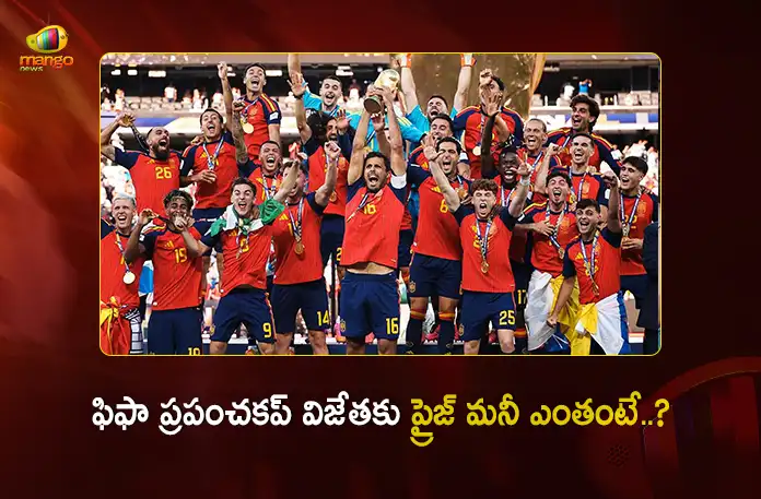 FIFA World Cup 2026 Spain Bags Rs.481Cr as Champions, Check Complete Prize Money List FIFA World Cup 2026 Spain Bags Rs.481Cr as Champions, Check Complete Prize Money List