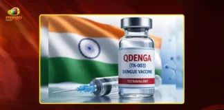 India Approves First Dengue Vaccine Takeda's Qdenga, DCGI Nod For Public Use