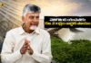 AP Govt Announces Rs.2 Lakh Financial Aid For Eligible Youth of Veligonda Displaced Families
