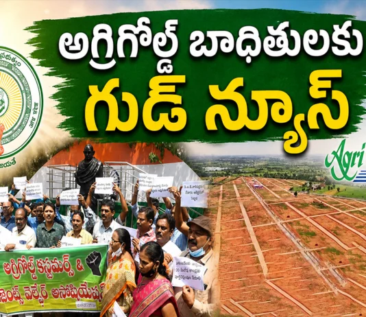AP Govt Approves Auction of 6,330 Acres of AgriGold Land to Compensate Depositors