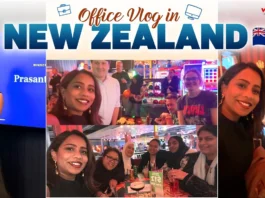 Balancing Work, Fun, and Success A Day in the Life of a Telugu Software Engineer in NZ